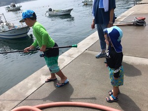 IMG_5030.jpg