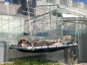 10CCB76F-8555-4684-BB89-DBA6504DE459.jpegのサムネイル画像